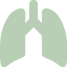Icona polmoni
